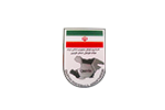 هیات فوتبال