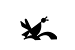 کانون